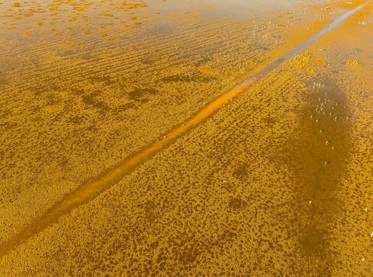 enterprise identifier resolution summary