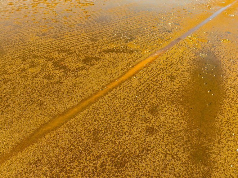 enterprise identifier resolution summary